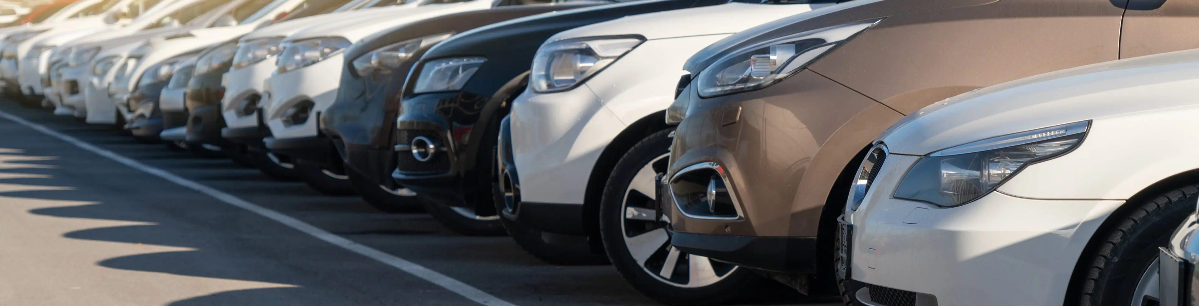 横一列に並ぶ複数の車